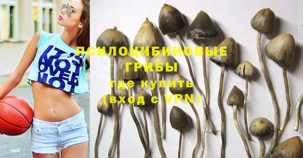 гашик Гусиноозёрск