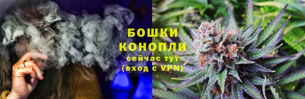 гашик Гусиноозёрск