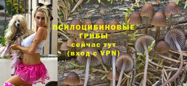 гашик Гусиноозёрск